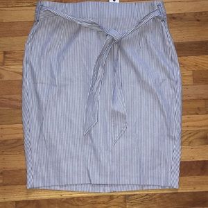 Blue and white pinstripe skirt with belt!